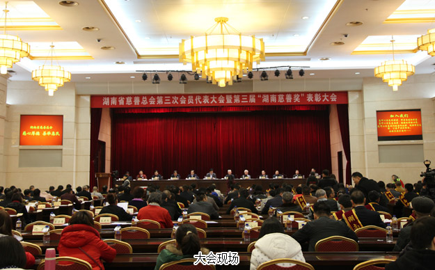 胡國安董事長當選湖南省慈善總會副會長，綠之韻集團榮膺“湖南省慈善獎”殊榮