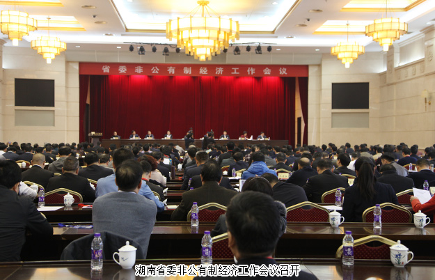 綠之韻集團董事長胡國安出席湖南省委非公有制經(jīng)濟工作會議，并接受湖南衛(wèi)視、經(jīng)視采訪