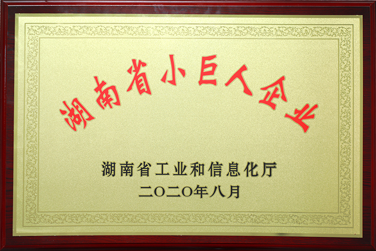 喜訊｜綠之韻集團(tuán)獲評(píng)2020年“湖南省小巨人企業(yè)”